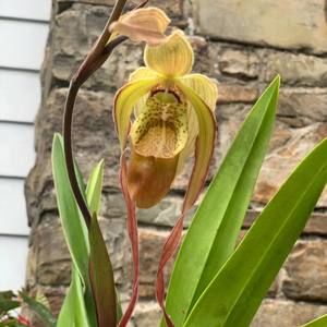 Meet your Posher, Tom